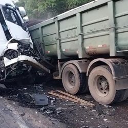 Motorista de caminhão morre em colisão na ERS 446 na manhã desta segunda-feira