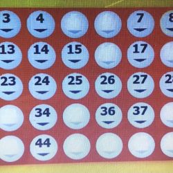 Matemáticos descobrem 27 números que garantem vitória em loteria; entenda