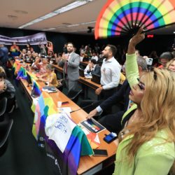 Comissão adia votação sobre proibição do casamento homoafetivo