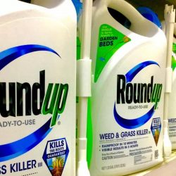 Roundup: Bayer  condenada pagar US$ 1,56 bilhão em casos de câncer em agricultores