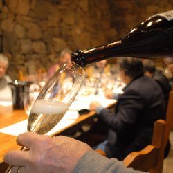 Vale dos Vinhedos tem recorde de vinícolas inscritas para reconhecimento de Denominação de Origem (DO)