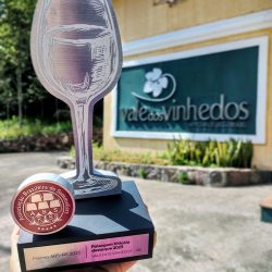 Prêmio Associação Brasileira de Sommeliers destaca Vale dos Vinhedos como  Paisagem Vitícola Destaque