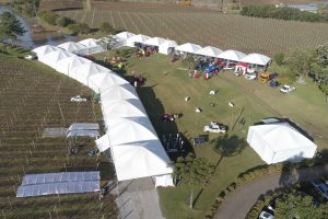 Cooperativa Vinícola Aurora espera  5 mil pessoas para feira de vitivinicultura