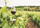 85% das vinícolas nacionais apostam no enoturismo para aumentar faturamento