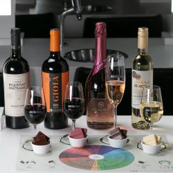 Curso de harmonização de chocolates trufados artesanais com vinhos na Aurora