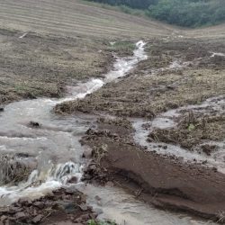 Mais de 206 mil propriedades rurais foram afetadas pelas enchentes no RS