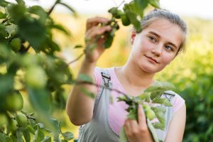 “Mulheres Rurais: cultivando novas relações entre o campo e a pesquisa” são tema de evento em  Bento Gonçalves