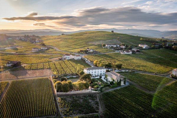 França vai destruir vinhedos diante de queda na demanda global por vinho