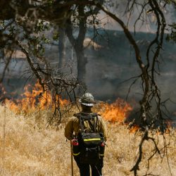 Doenças provocadas por crises climáticas matarão  14,5 milhões até 2050