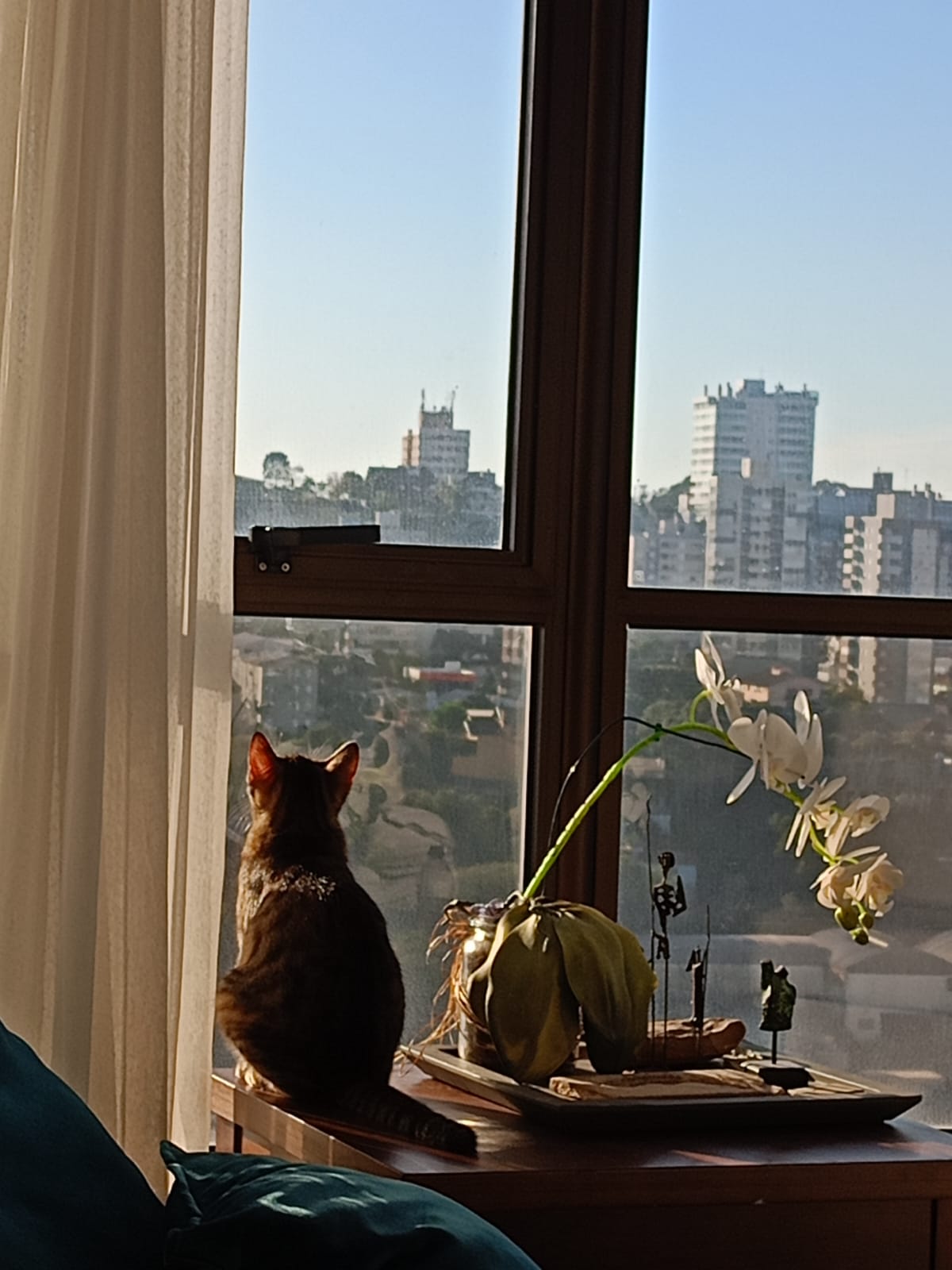 65a7ed10-376c-4c9f-8230-7145a8057bf0