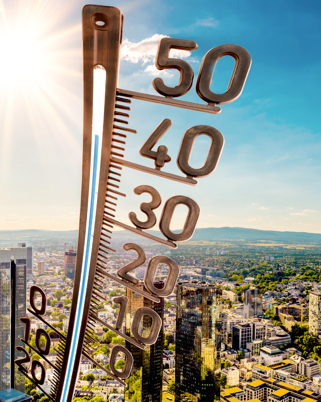 FEED MAIOR NOVO - 2025-01-19T103646.294