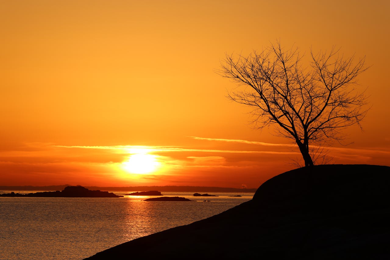 pexels-david-kanigan-239927285-29833353