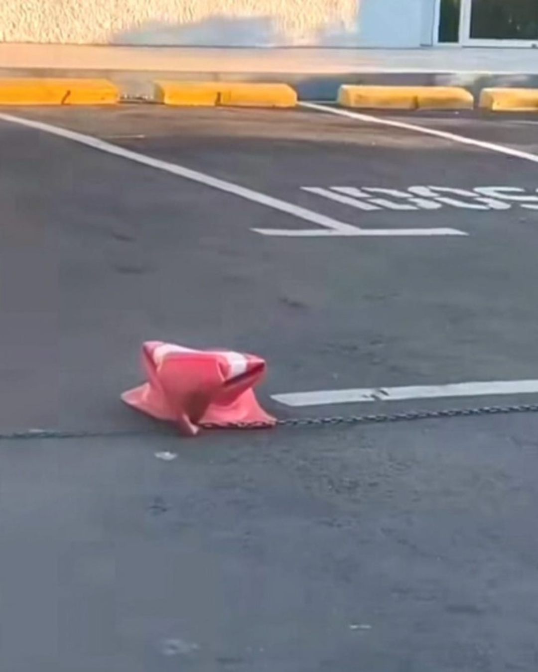 FEED MAIOR NOVO - 2025-02-13T062825.501