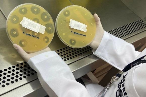 Na foto, comparativo de antibióticos fazendo efeito sobre a bactéria e aquele em que a bactéria é resistente ao tratamento.