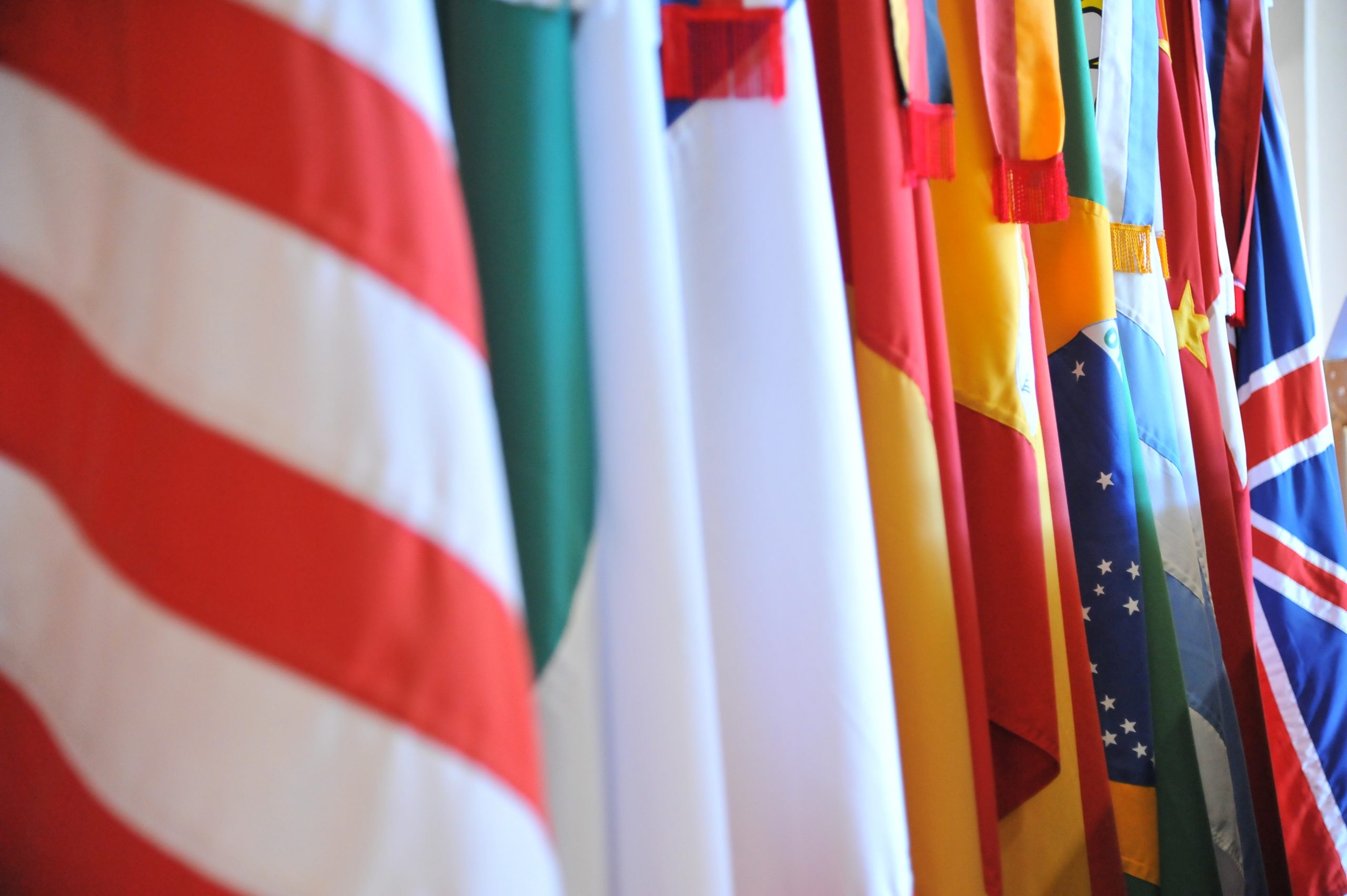 PLE - Daniela Schiavo (19)