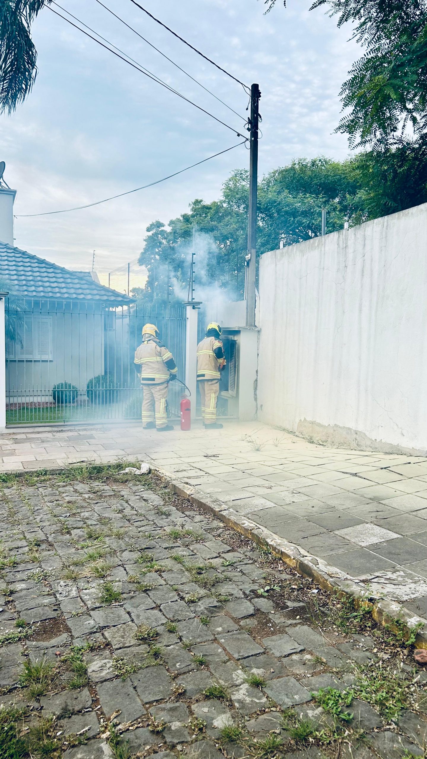 WhatsApp Image 2025-02-12 at 10.17.50 (1)