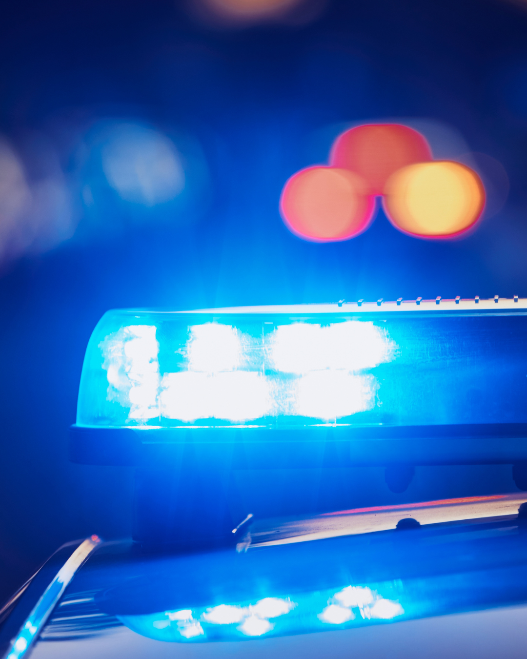 FEED MAIOR NOVO - 2025-03-02T142549.403