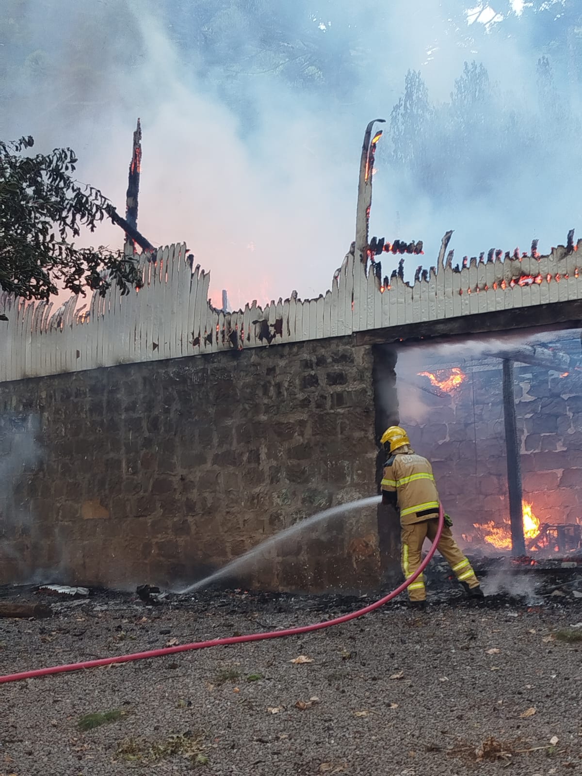 WhatsApp Image 2025-03-18 at 18.02.13 (1)