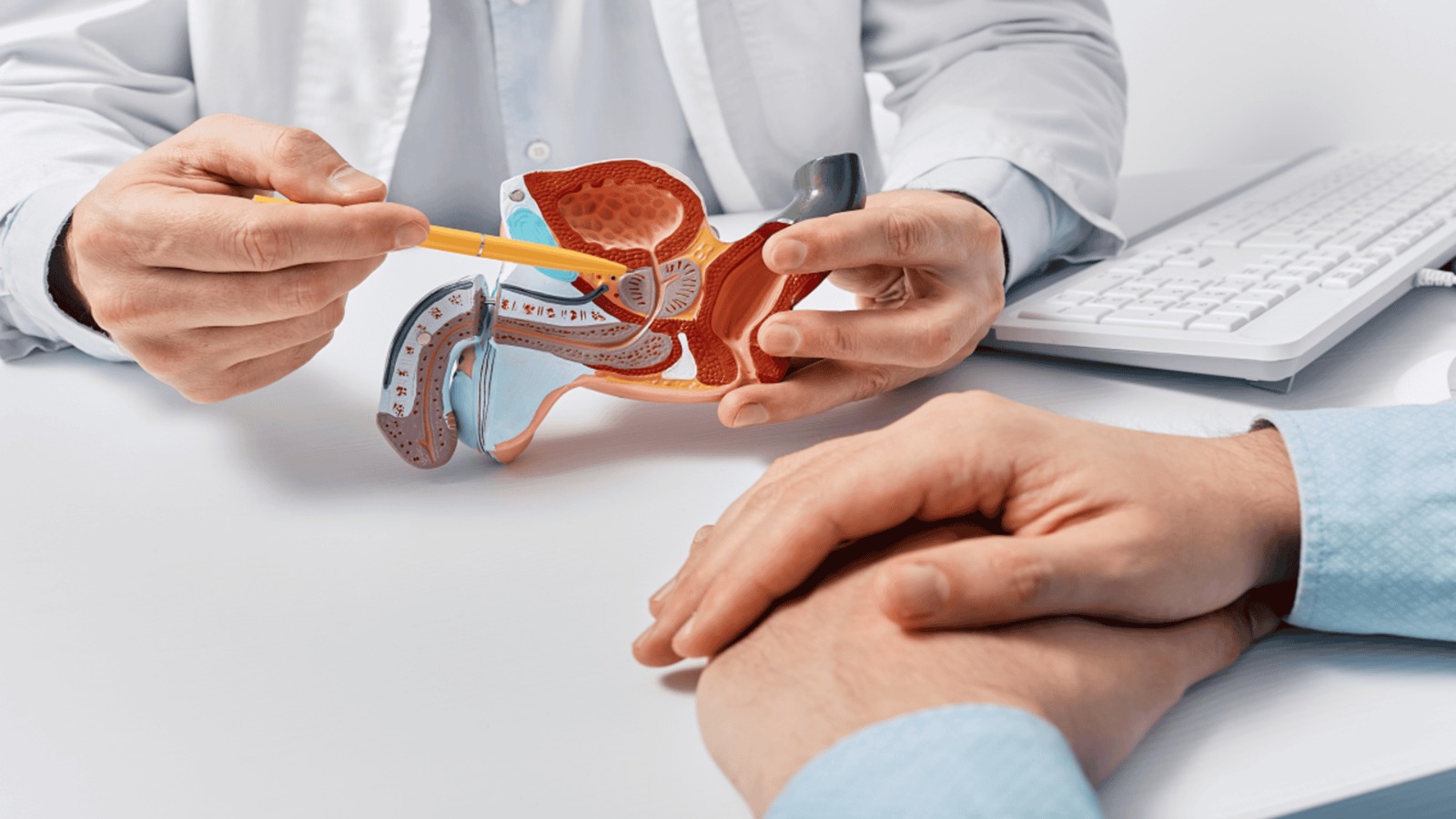 2cceeb27-4671-43b9-9596-b653353a401e