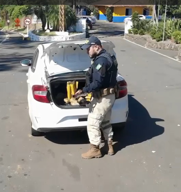 20790ace-1534-42f1-bf32-1f4eaeb4b920