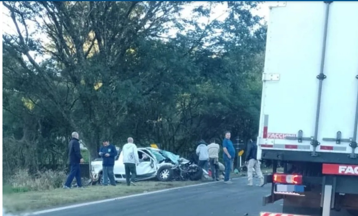 WhatsApp Image 2025-05-03 at 09.43.47