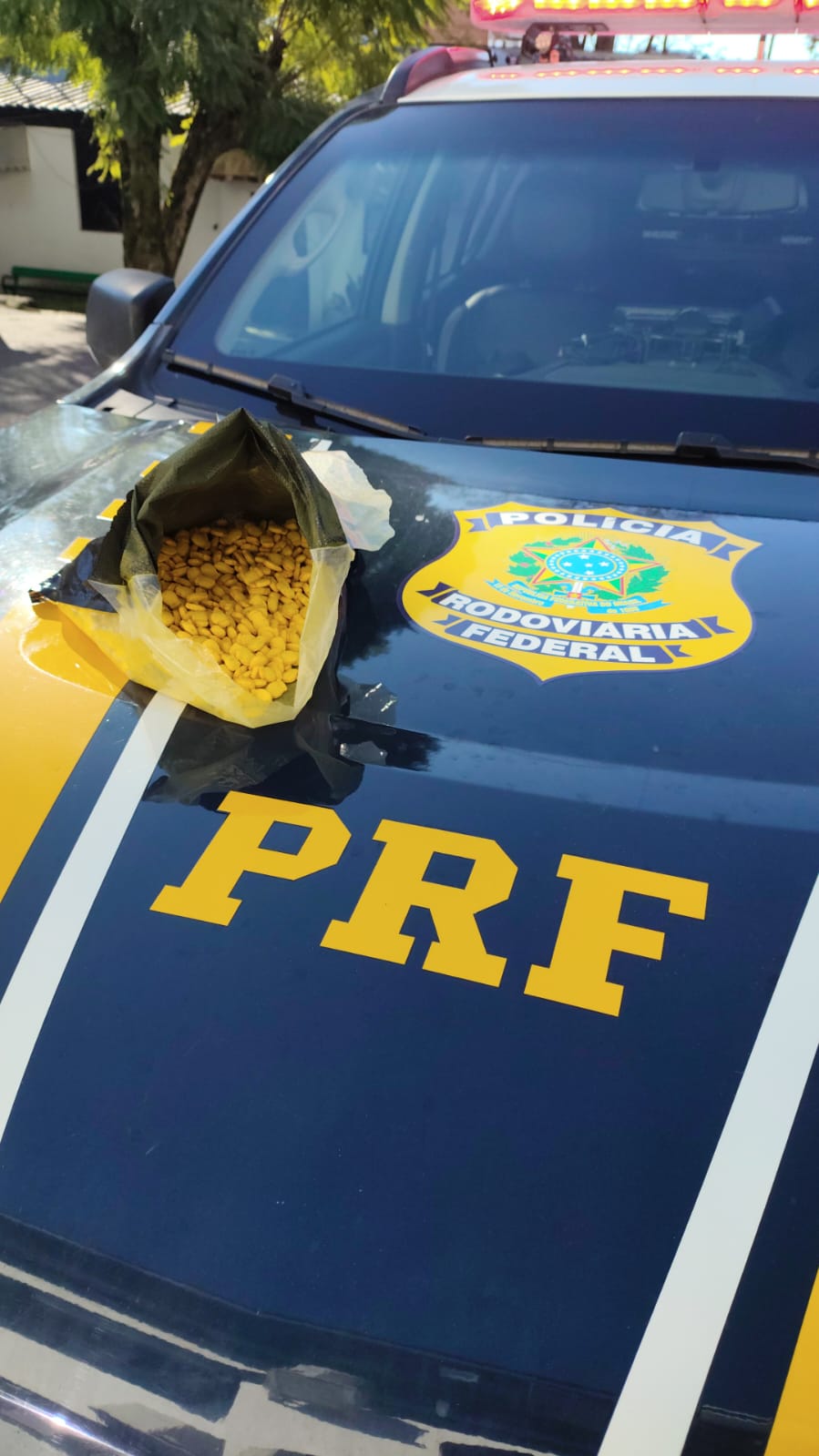 f5b6826a-7084-4f84-8b5e-f984d47796cc