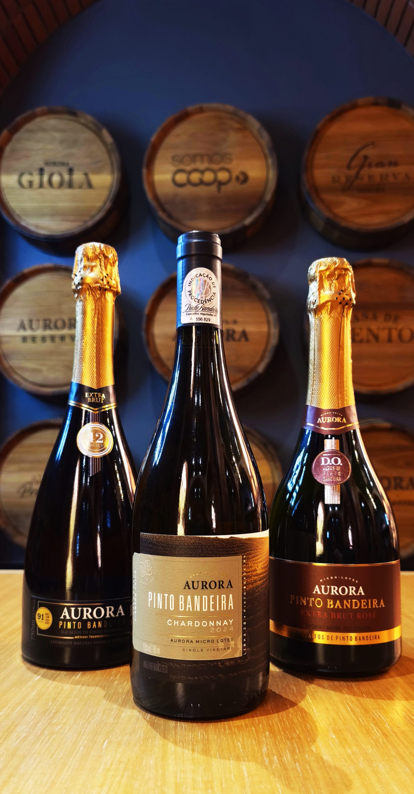 Aurora Medalhas (2) Crédito Karine Fonseca