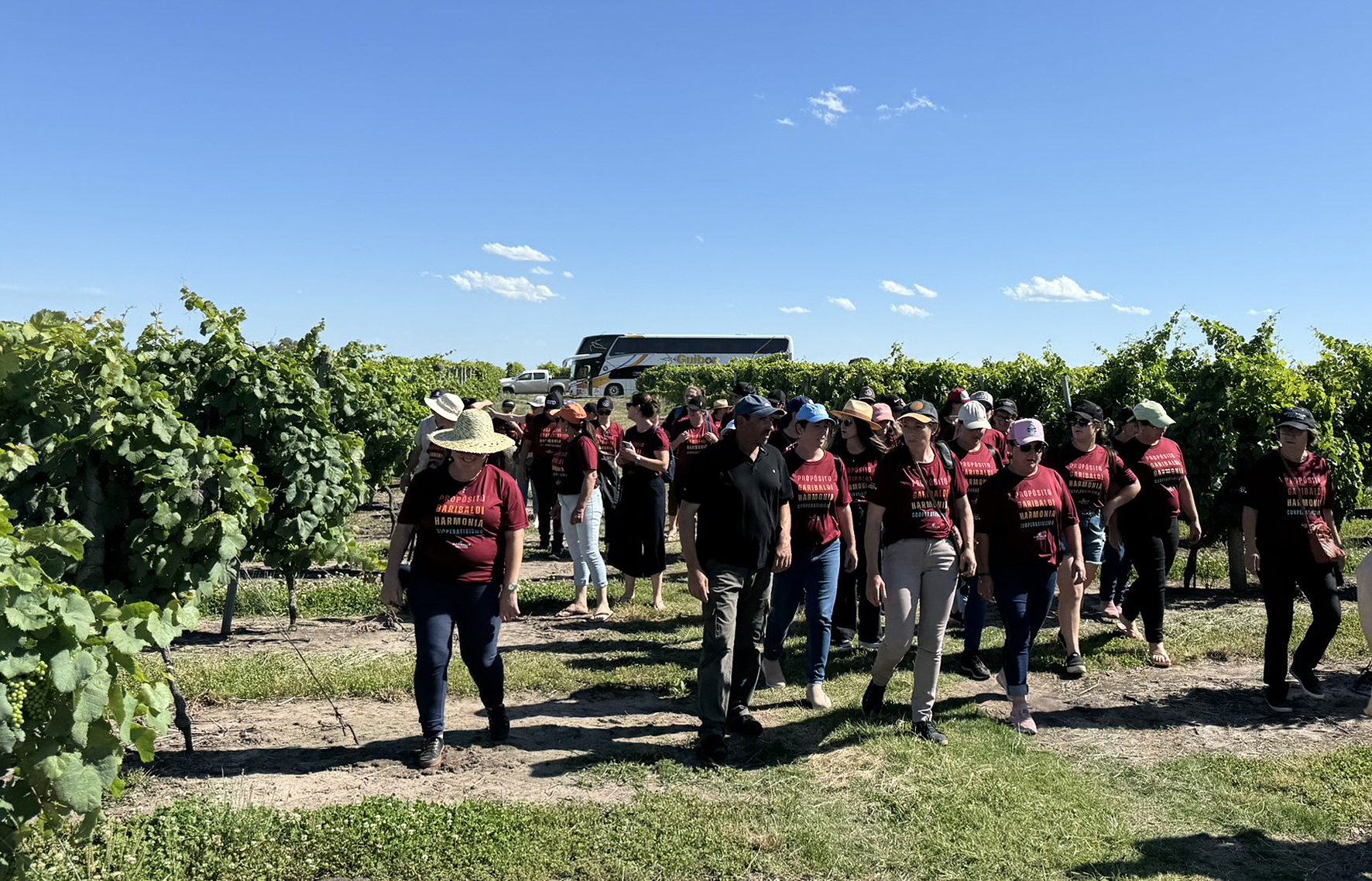Viagens técnicas internacionais são componente essencial na formação de agricultores cada vez mais atentos às práticas de cultivo pelo mundo. Crédito divulgação Garibaldi
