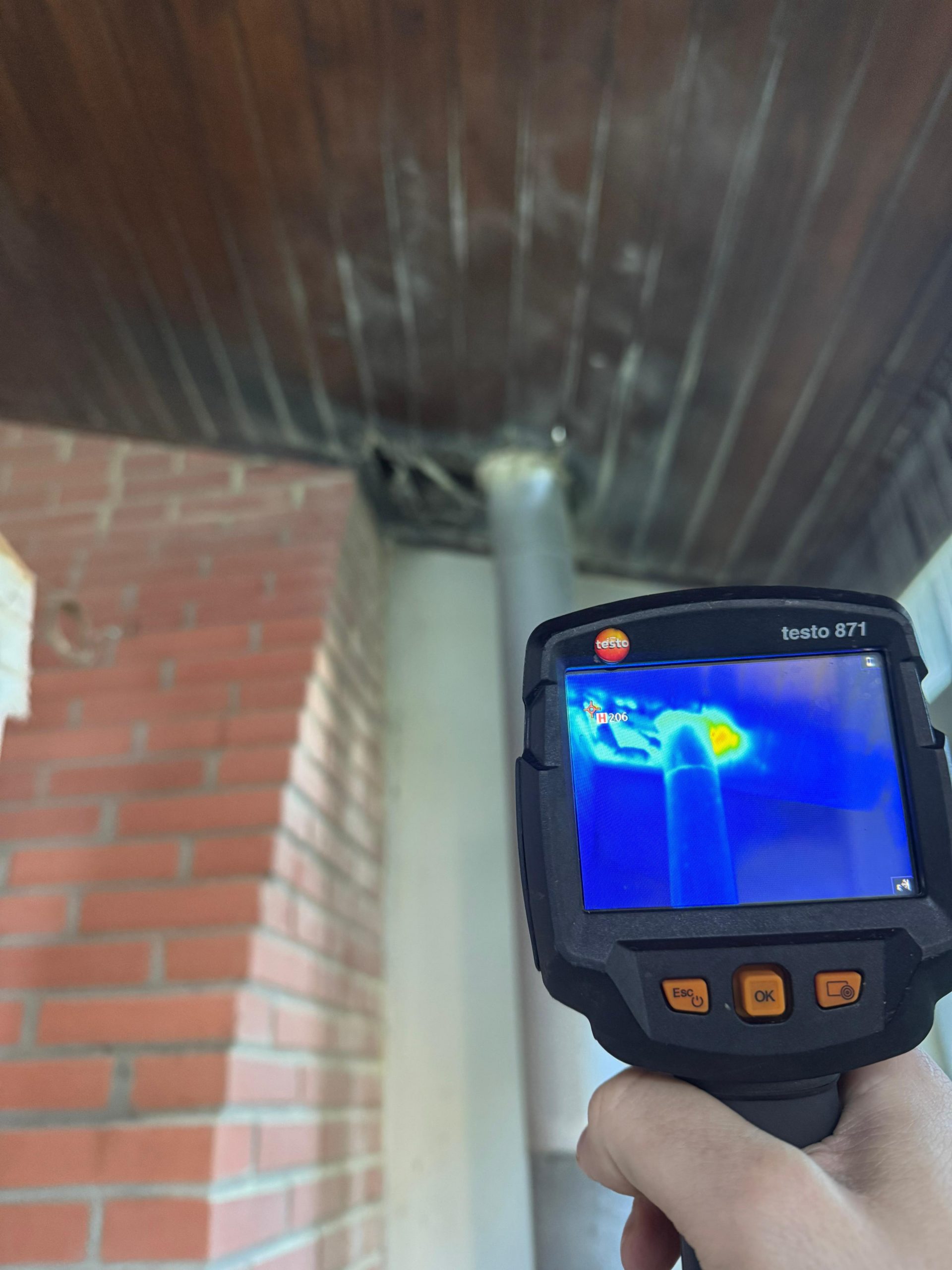 WhatsApp Image 2025-07-03 at 10.18.07