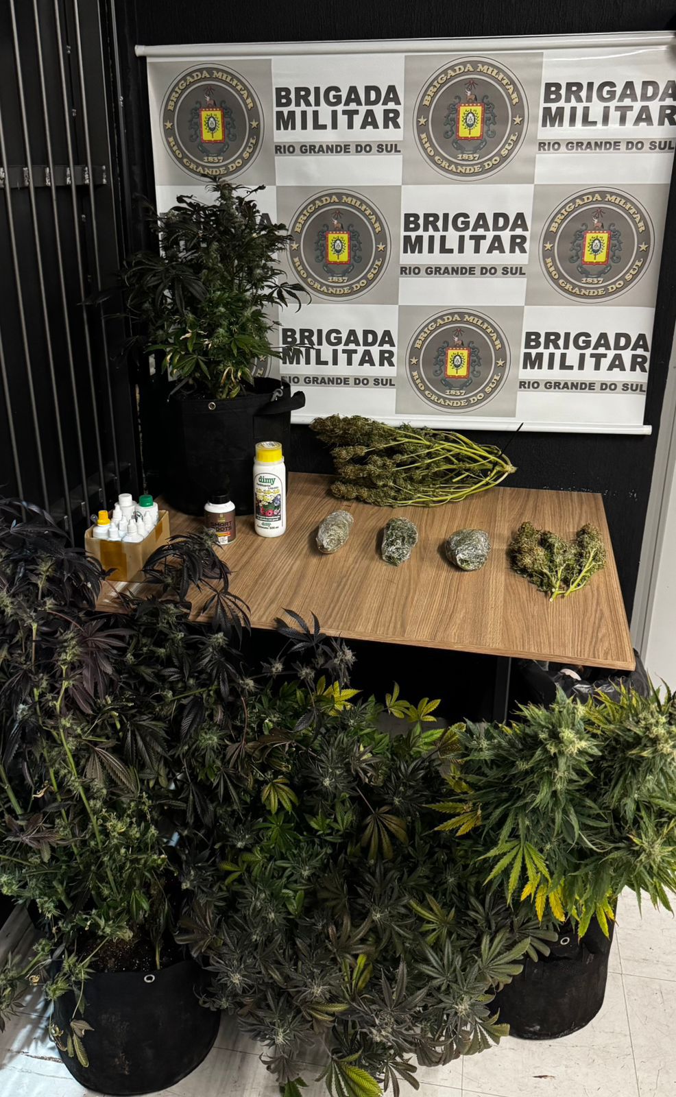 10730db5-4a5d-4504-876e-46312b6485df