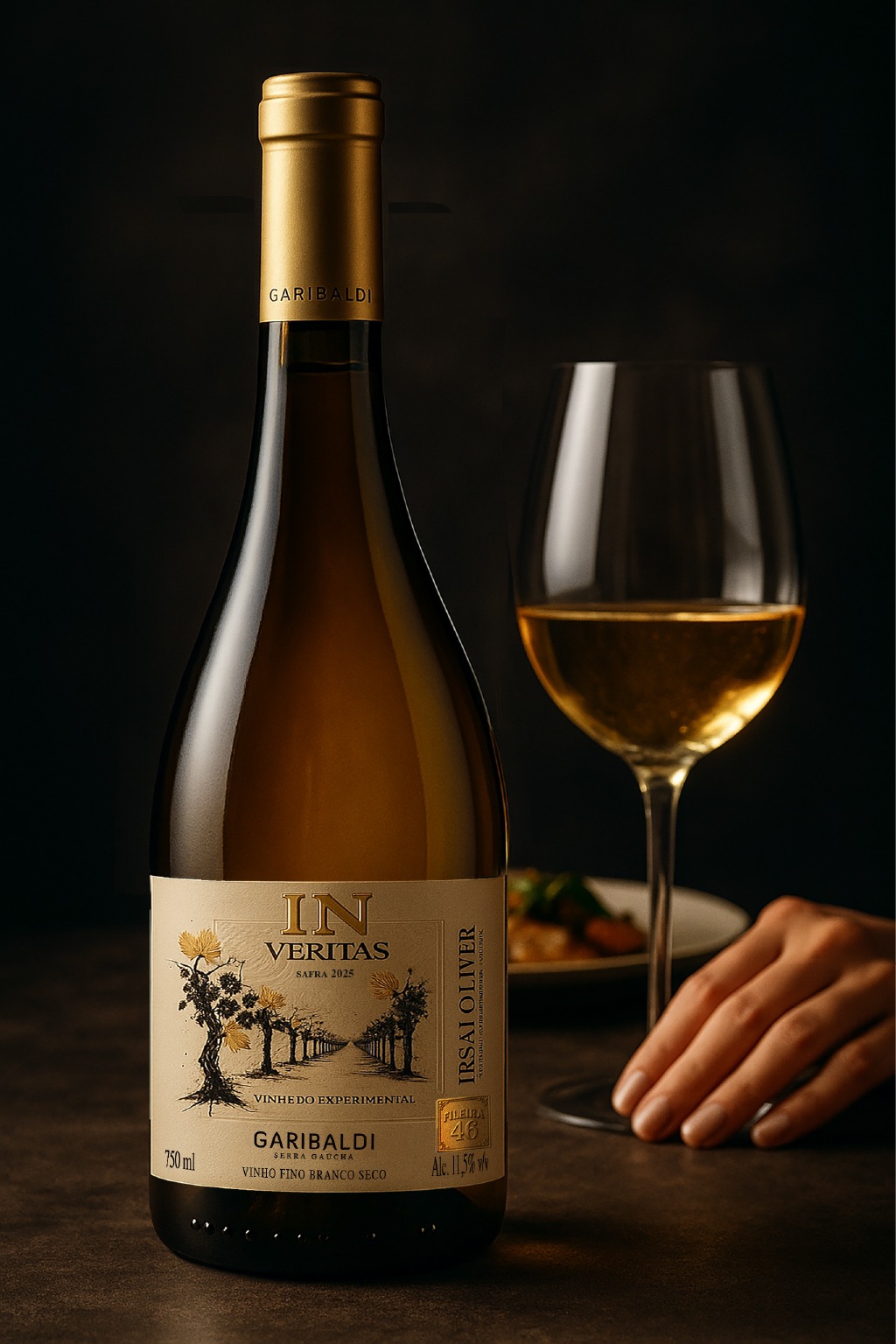 Lancamento-Garibaldi2