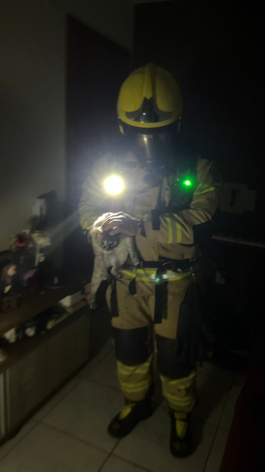 WhatsApp-Image-2025-08-04-at-08.58.00