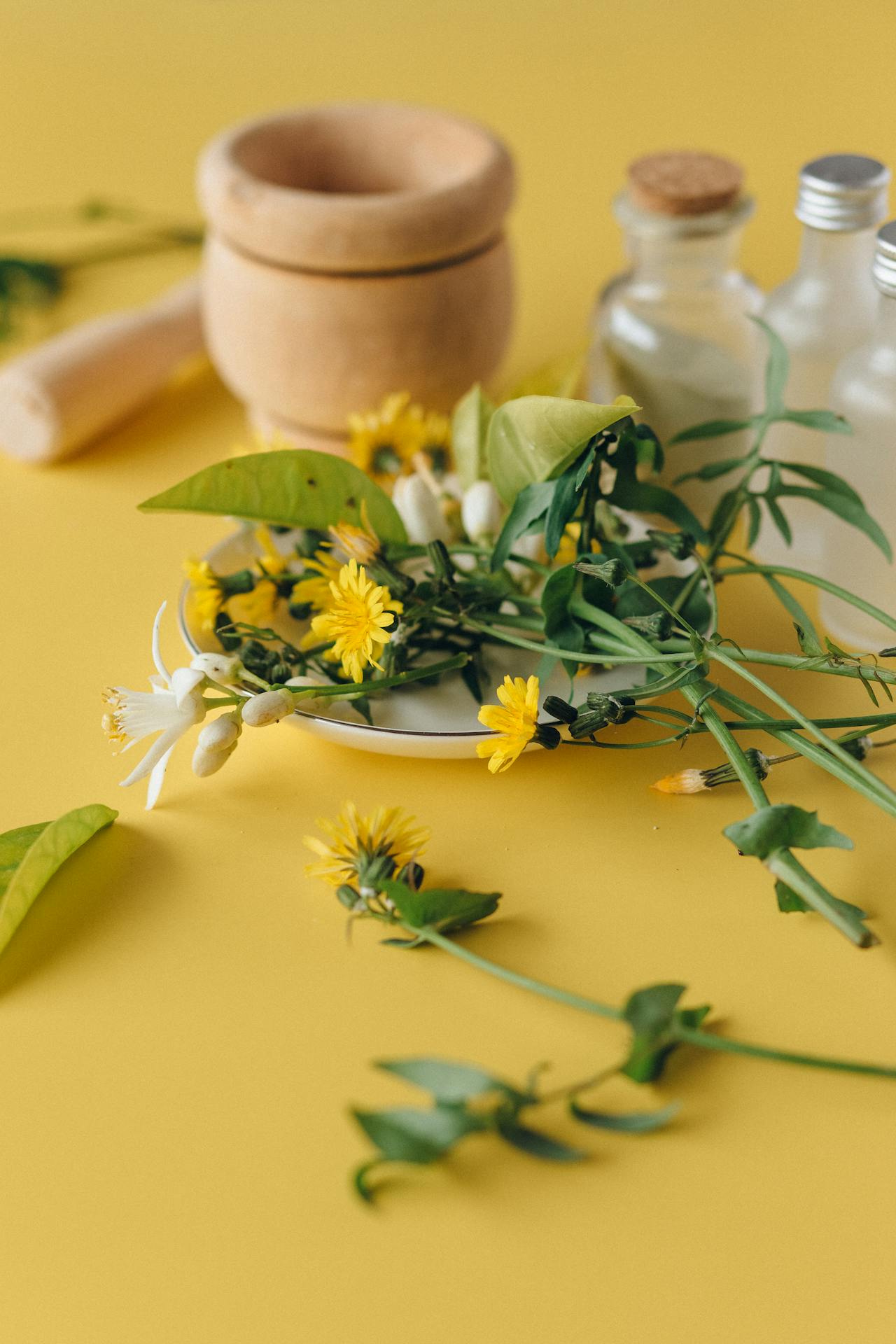 10 ervas para cultivar em casa e melhorar a saúde mental