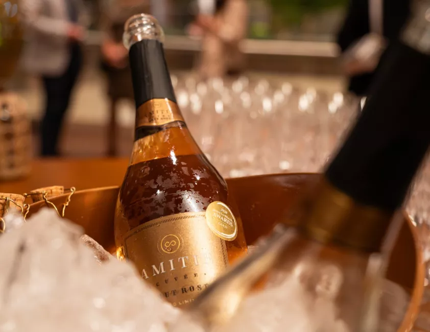 Com mais de 110 prêmios nacionais e internacionais o novo espaço Vinícola Amitié  das empresárias Juciane Casagrande Doro e Andréia Gentilini, oferece degustações, miniaulas, eventos e confrarias, além de uma gastronomia exclusiva e harmonizada .Créditos: Caio Franco