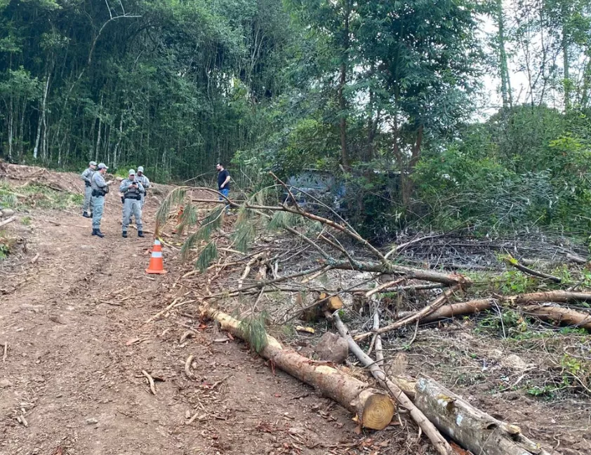 Corpo encontrado Farroupilha dentro de veículo em área de mata. Polícia isola local e investiga o caso.