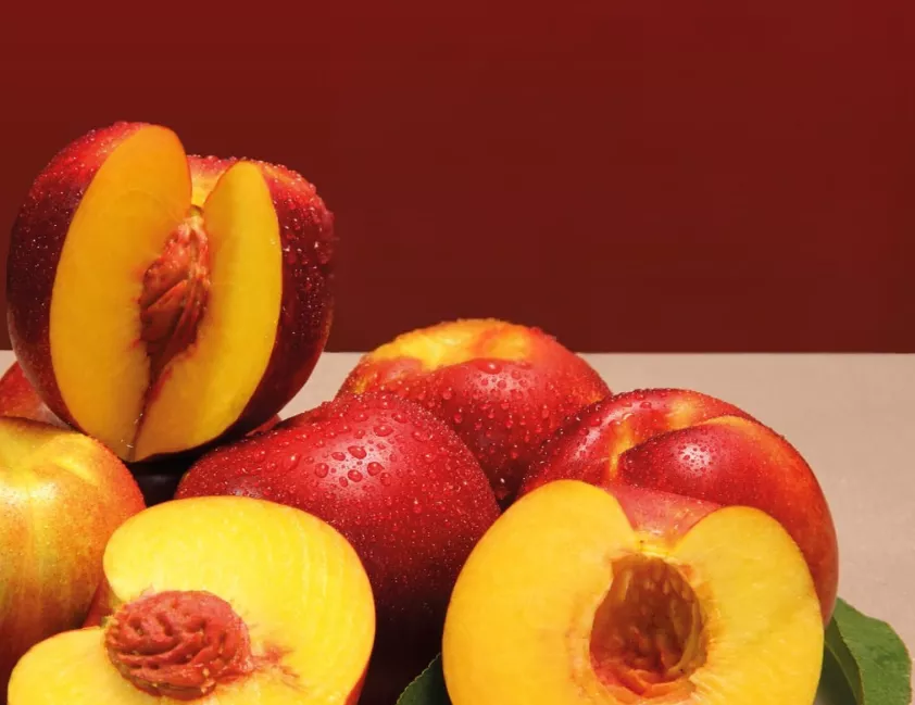 Nova cultivar de nectarina será lançada pela Embrapa amanhã em Pinto Bandeira, com alta adaptação e qualidade de fruto.