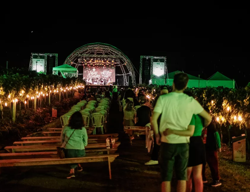 Natal nos Vinhedos traz mais de 35 experiências enogastronômicas e programação artística no Vale dos Vinhedos.