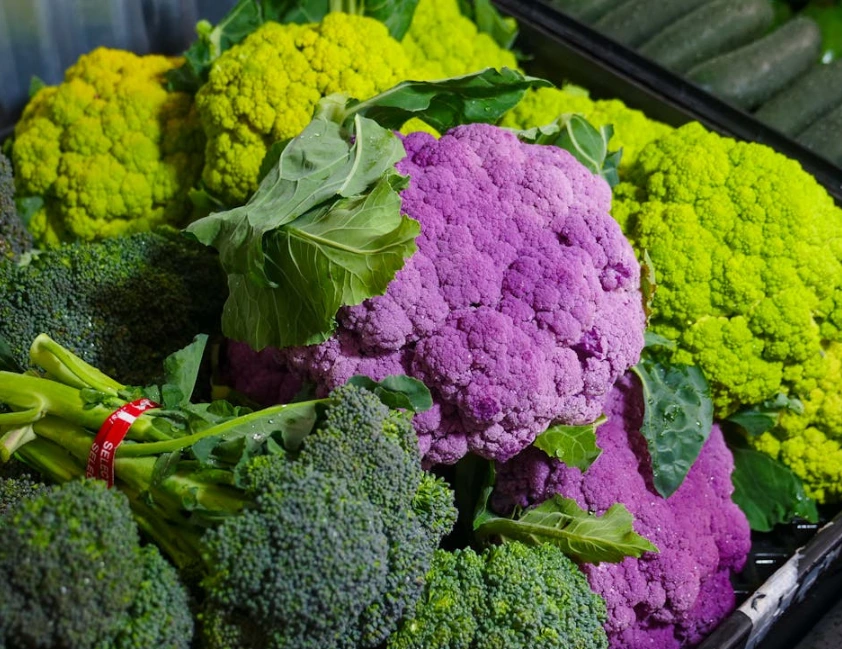 Brócolis protege rins de açúcar no sangue aponta estudo brasileiro