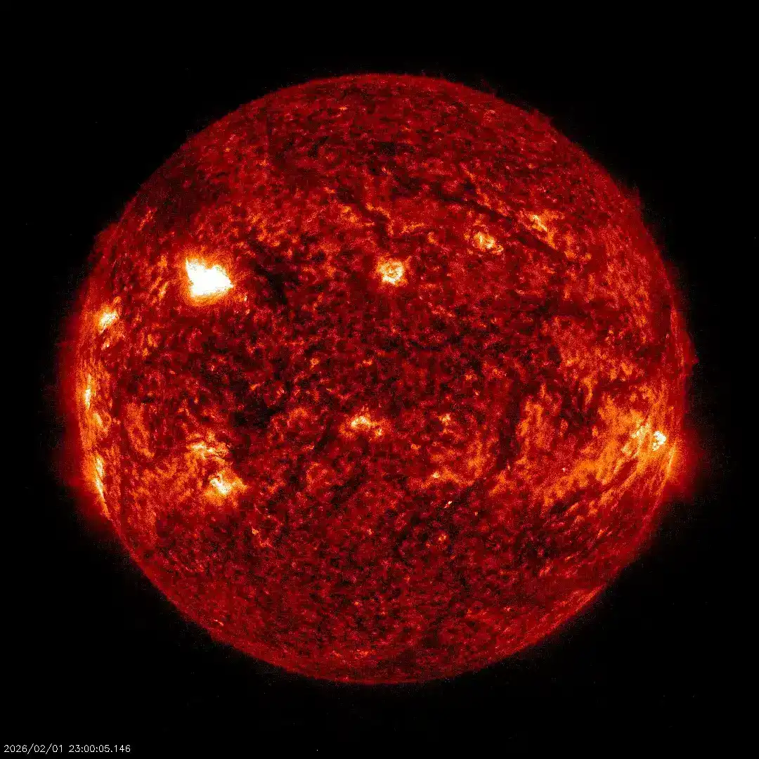 Em um domingo marcado por dezenas de erupções solares, uma se destaca entre as mais fortes do atual ciclo de atividade do Sol