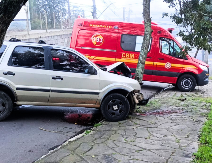 Motorista sofre ferimentos na cabeça após colidir contra árvore no Santa Rita