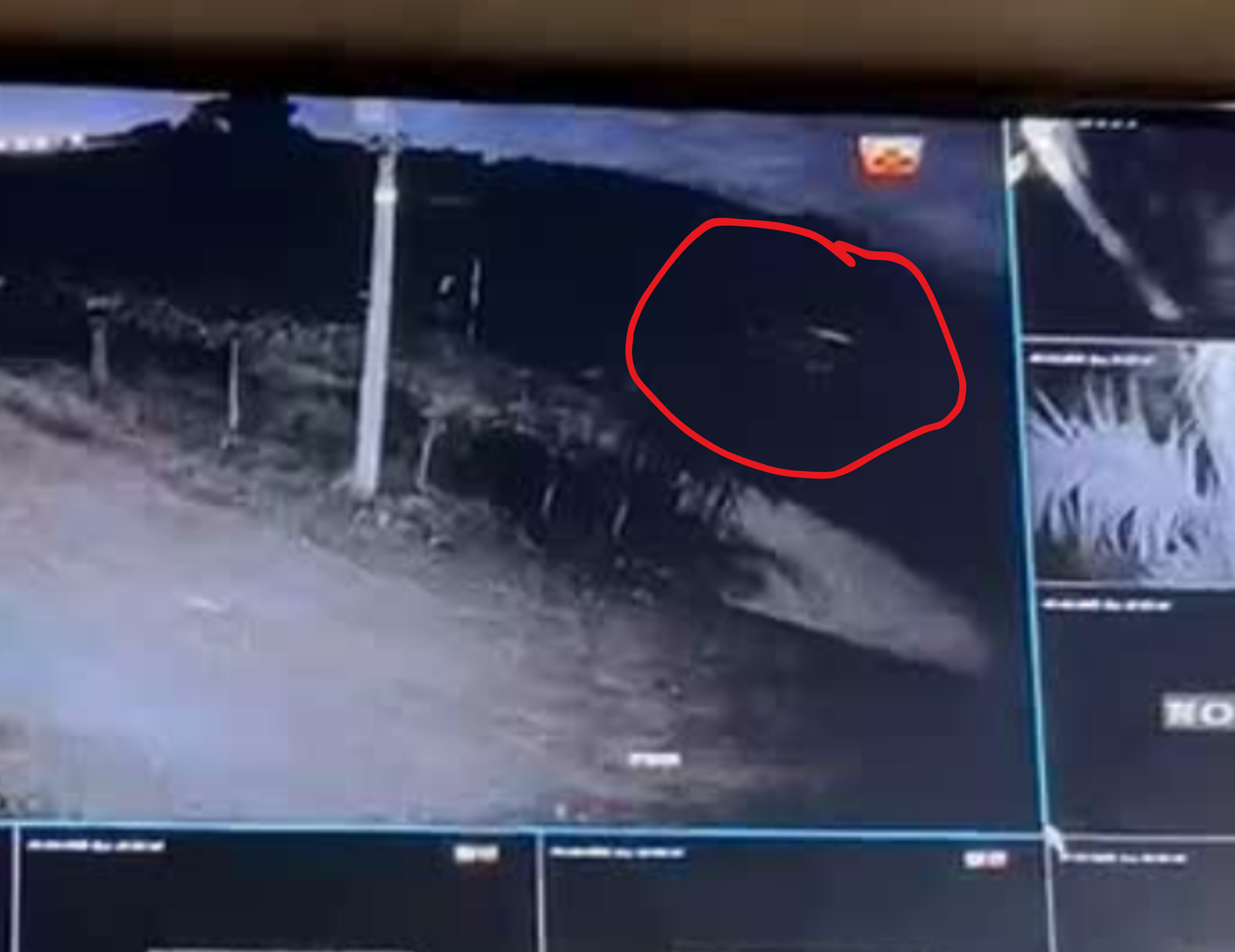 Vídeo registra luzes e barulhos misteriosos sobre propriedade rural em Bento Gonçalves