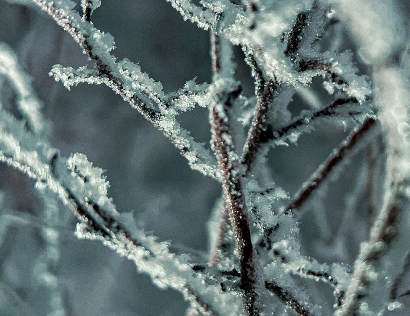 Maior frio do ano está à caminho com chegada de massa de ar polar mais forte
