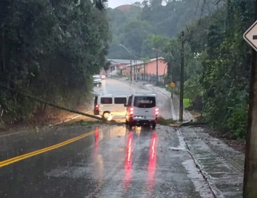 Árvore bloqueia rua no bairro Santa Helena