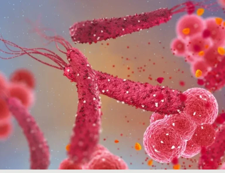 H. pylori é associada a 22% dos casos de câncer colorretal em estudo