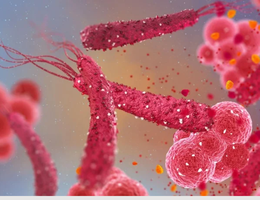 H. pylori é associada a 22% dos casos de câncer colorretal em estudo