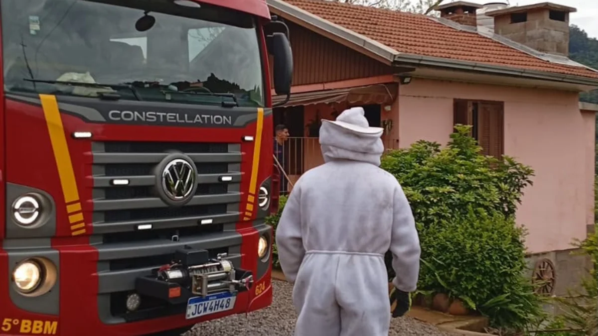 Idosa sofre mais de dez picadas de abelhas dentro de casa em Bento Gonçalves