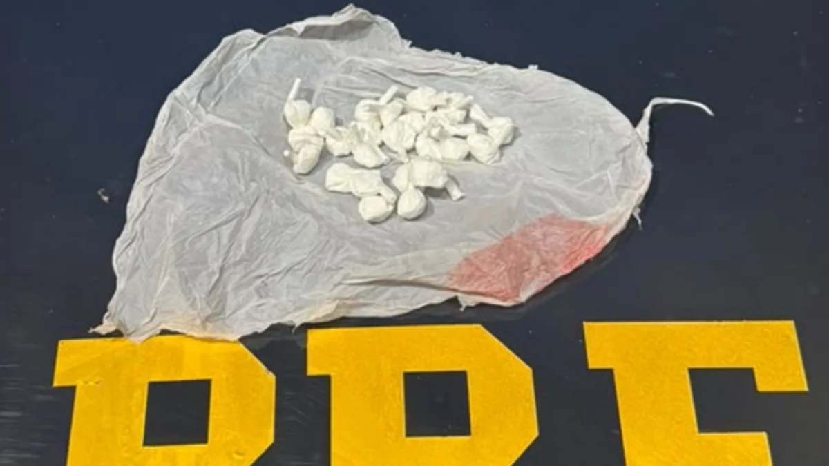 PRF prende dois homens por tráfico de drogas no Pomarosa, em Bento