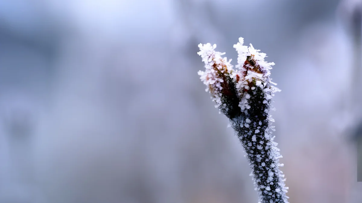Frio pode baixar temperaturas a 2°C no Rio Grande do Sul